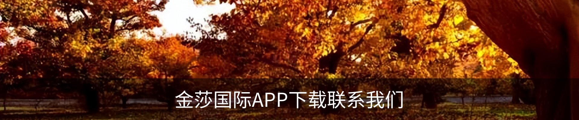 金莎国际APP下载联系我们